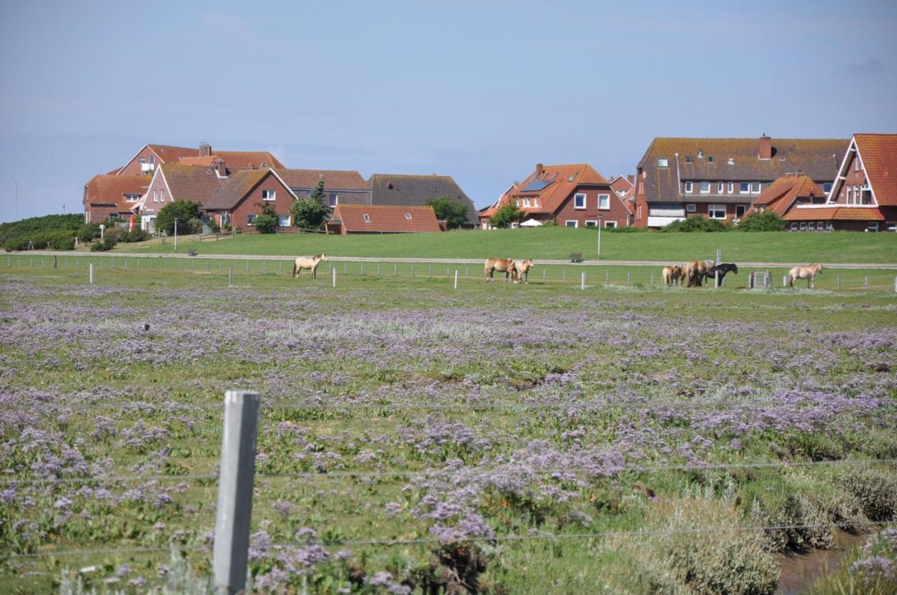 Seevilla Wietjes Whg 6 Baltrum Buitenkant foto